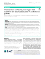 Trophic niche shifts and phenotypic trait evolution are largely decoupled in Australasian parrots