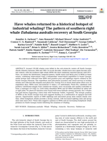 Have whales returned to a historical hotspot of industrial whaling? The pattern of southern right whale Eubalaena australis recovery at South Georgia
