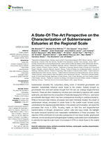 A State-Of-The-Art Perspective on the Characterization of Subterranean Estuaries at the Regional Scale