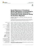 Social Behaviour of Humpback Whales (Megaptera novaeangliae) in Hervey Bay, Eastern Australia, a Preferential Female Stopover During the Southern Migration