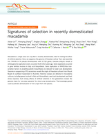 Signatures of selection in recently domesticated macadamia