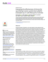 Evaluating the effectiveness of drones for quantifying invasive upside-down jellyfish (Cassiopea sp.) in Lake Macquarie, Australia