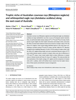 Trophic niche of Australian cownose rays (Rhinoptera neglecta) and whitespotted eagle rays (Aetobatus ocellatus) along the east coast of Australia