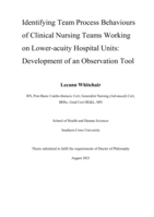 Identifying team process behaviours of clinical nursing teams working on lower-acuity hospital units: development of an observation tool