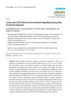 Auxin and cell wall invertase related signaling during rice grain development