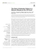 The role of hydraulic failure in a massive mangrove die-off event