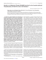 Syndet, an adipocyte target SNARE involved in the insulin-induced translocation of GLUT4 to the cell surface