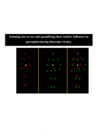 Isolating cues to sex and quantifying their relative influence on perception during binocular rivalry