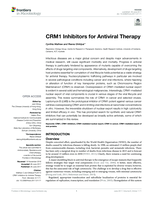 CRM1 Inhibitors for Antiviral Therapy