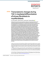 Transcriptomic changes during TGF-β-mediated differentiation of airway fibroblasts to myofibroblasts