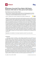 Respiratory Syncytial Virus Matrix (M) Protein Interacts with Actin In Vitro and in Cell Culture