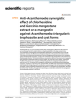Anti-Acanthamoeba synergistic effect of chlorhexidine and Garcinia mangostana extract or α-mangostin against Acanthamoeba triangularis trophozoite and cyst forms