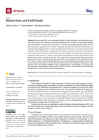 Rhinovirus and Cell Death