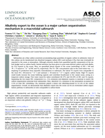 Alkalinity export to the ocean is a major carbon sequestration mechanism in a macrotidal saltmarsh