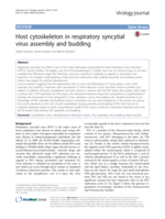 Host cytoskeleton in respiratory syncytial virus assembly and budding