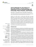 Animal Models for the Study of Hepatitis B Virus Pathobiology and Immunity: Past, Present, and Future