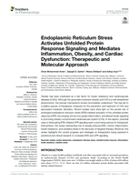 Endoplasmic Reticulum Stress Activates Unfolded Protein Response Signaling and Mediates Inflammation, Obesity, and Cardiac Dysfunction: Therapeutic and Molecular Approach