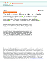 Tropical forests as drivers of lake carbon burial