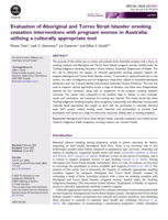 Evaluation of Aboriginal and Torres Strait Islander smoking cessation interventions with pregnant women in Australia: utilising a culturally appropriate tool