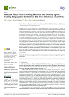 Effect of stock plant growing medium and density upon a cutting propagation system for tea tree, melaleuca alternifolia