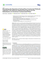Elucidating the Potential of Vertical Flow-Constructed Wetlands Vegetated with Different Wetland Plant Species for the Remediation of Chromium-Contaminated Water