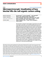 Microspectroscopic visualization of how biochar lifts the soil organic carbon ceiling