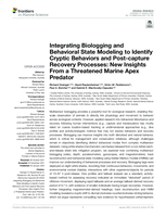 Integrating Biologging and Behavioral State Modeling to Identify Cryptic Behaviors and Post-capture Recovery Processes: New Insights From a Threatened Marine Apex Predator