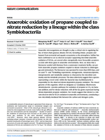 Anaerobic oxidation of propane coupled to nitrate reduction by a lineage within the class Symbiobacteriia