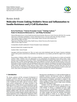 Molecular Events Linking Oxidative Stress and Inflammation to Insulin Resistance and í µí»½-Cell Dysfunction