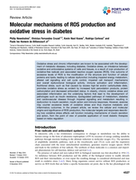 Molecular mechanisms of ROS production and oxidative stress in diabetes