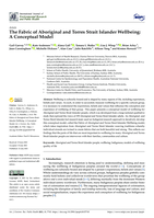 The Fabric of Aboriginal and Torres Strait Islander Wellbeing: A Conceptual Model
