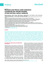 Methane and nitrous oxide emissions complicate the climate benefits of teal and blue carbon wetlands