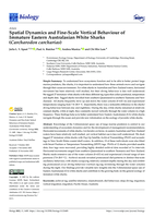 Spatial Dynamics and Fine-Scale Vertical Behaviour of Immature Eastern Australasian White Sharks (Carcharodon carcharias)