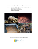 Methods for restoring damaged reefs using coral larval restoration