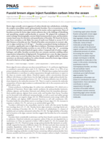 Fucoid brown algae inject fucoidan carbon into the ocean