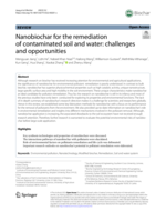Nanobiochar for the remediation of contaminated soil and water: challenges and opportunities