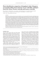 Photo-identification comparison of humpback whale (Megaptera novaeangliae) flukes from Antarctic Area IV with fluke catalogues from East Africa, Western Australia and Eastern Australia