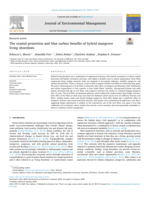 The coastal protection and blue carbon benefits of hybrid mangrove living shorelines