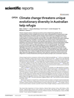 Climate change threatens unique evolutionary diversity in Australian kelp refugia