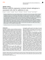 Distinct miRNA expression in dorsal striatal subregions is associated with risk for addiction in rats