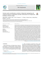 Genome-wide recombination variation in biparental segregating and reciprocal backcross populations provides information for introgression breeding in Brassica napus