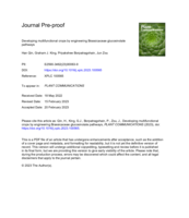 Developing multifunctional crops by engineering Brassicaceae glucosinolate pathways