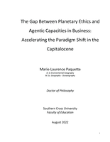The gap between planetary ethics and agentic capacities in business: accelerating the paradigm shift in the Capitalocene