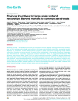 Financial incentives for large-scale wetland restoration: Beyond markets to common asset trusts