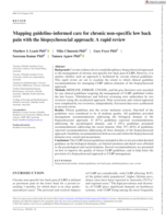 Mapping guideline-informed care for chronic non-specific low back pain with the biopsychosocial approach: A rapid review