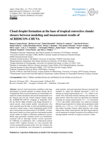 Cloud droplet formation at the base of tropical convective clouds: closure between modeling and measurement results of ACRIDICON-CHUVA