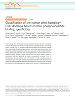 Classification of the human phox homology (PX) domains based on their phosphoinositide binding specificities