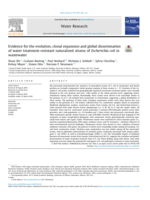 Evidence for the evolution, clonal expansion and global dissemination of water treatment-resistant naturalized strains of Escherichia coli in wastewater
