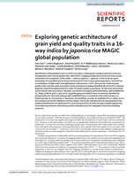 Exploring genetic architecture of grain yield and quality traits in a 16-way indica by japonica rice MAGIC global population