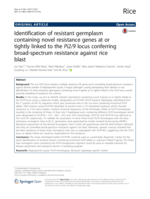 Identification of resistant germplasm containing novel resistance genes at or tightly linked to the Pi2/9 locus conferring broad-spectrum resistance against rice blast